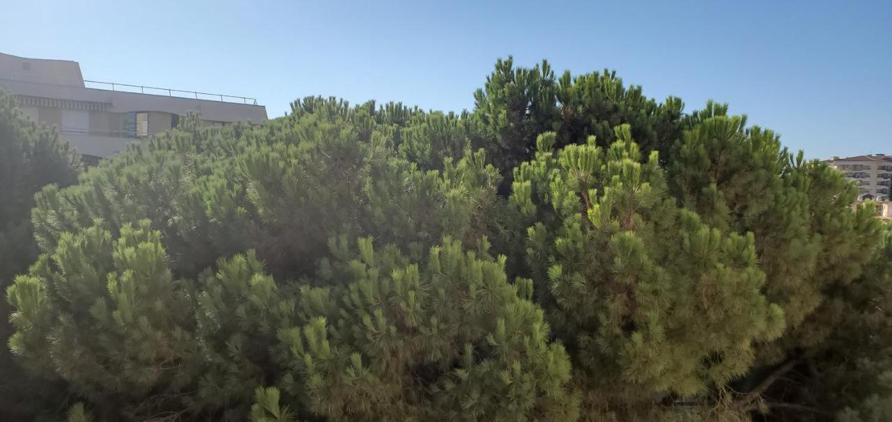 Frejus Plage La Miougrano, T2-3 49M2, 5 Personn Buitenkant foto